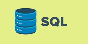 SQL是什么意思，以及它在数据库中的作用是什么？