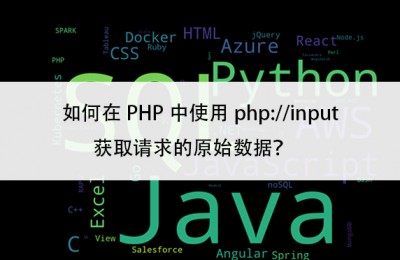 如何在PHP中使用php://input获取请求的原始数据？