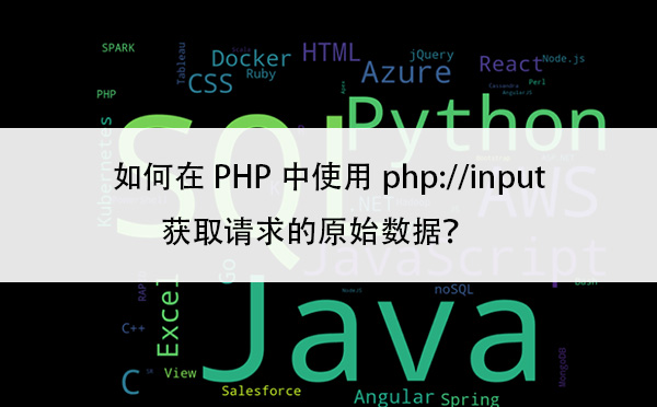 如何在PHP中使用php://input获取请求的原始数据？